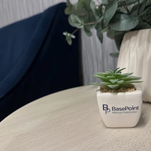 basepoint-breakthrough-plant-on-table-in-treatment-facility